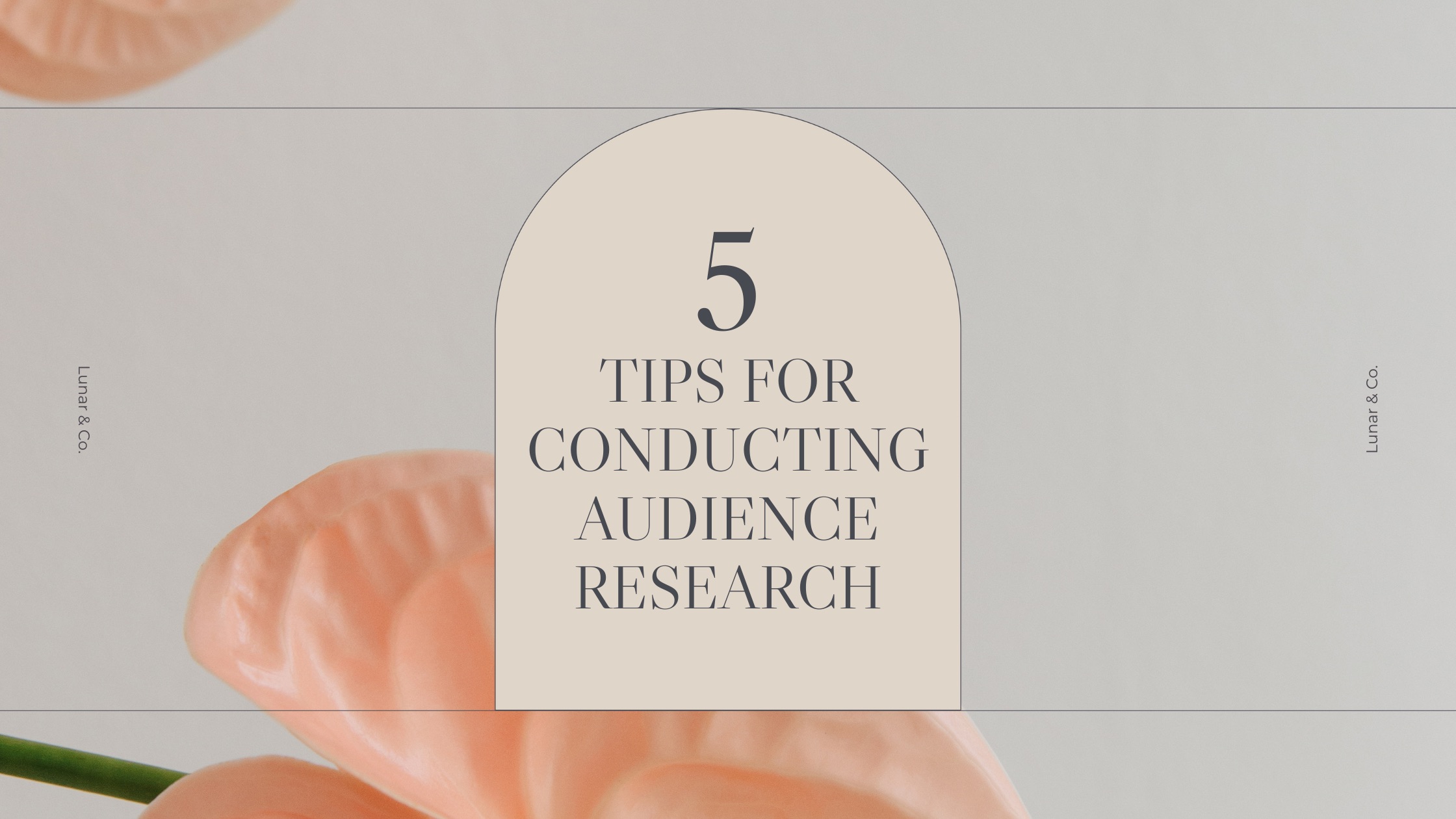 Audience Research Tips Lunar